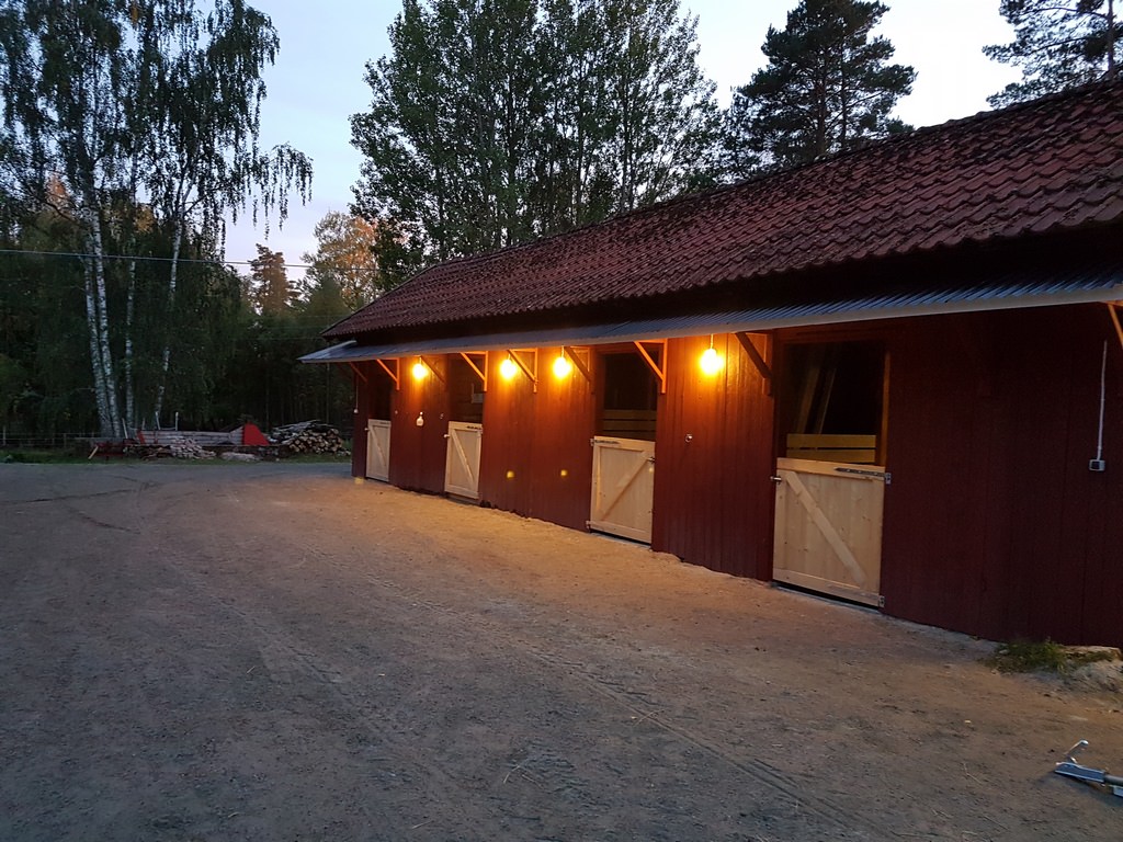 Little Meadow Performance Horses